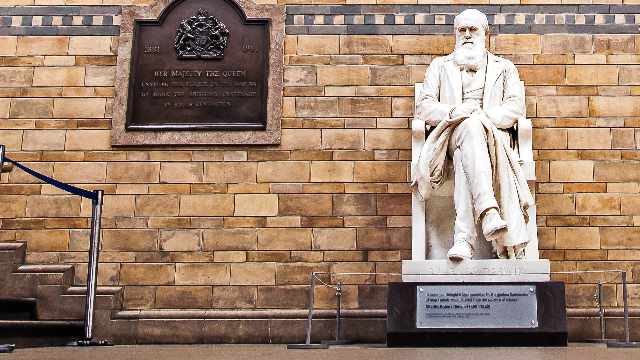 1000 scientifiques expriment leurs doutes concernant la théorie de Darwin