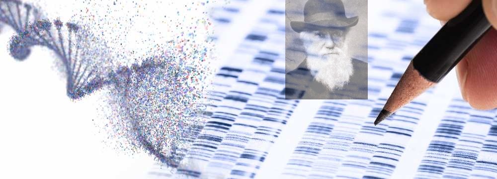 L'EVOLUTION DARWINIENNE N'EXISTE PAS