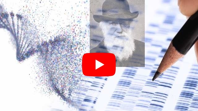 La génétique montre la dévolution - et contredit Darwin